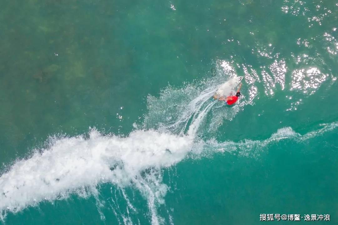 异形：隔离